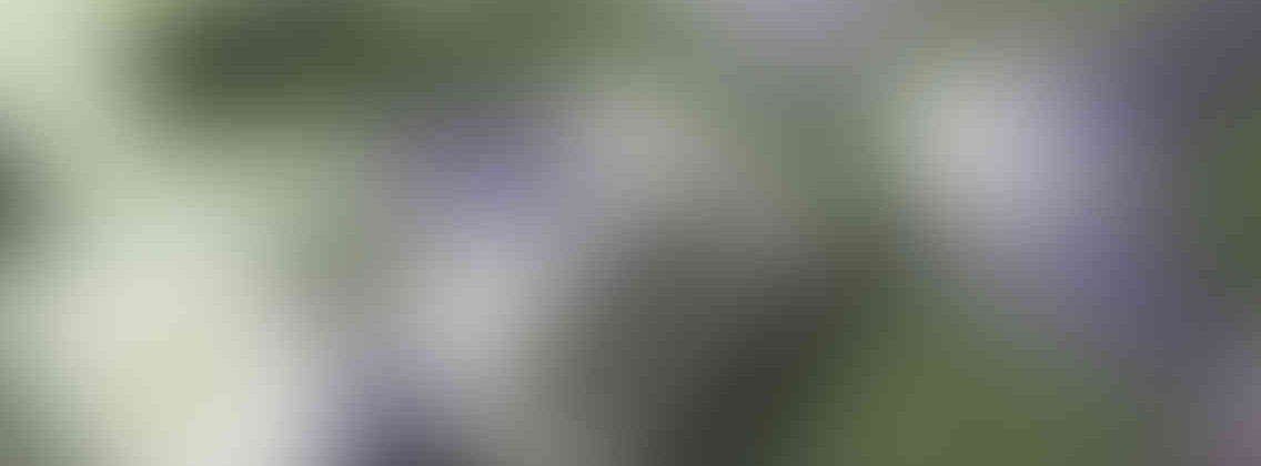 http://www.reclamossalar.com/wp-content/uploads/2013/03/relay_slide_3_v01-1136x420.jpg