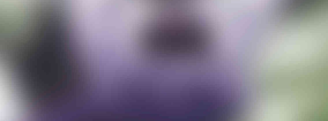 http://www.reclamossalar.com/wp-content/uploads/2013/03/relay_slide_4_v01-1136x420.jpg