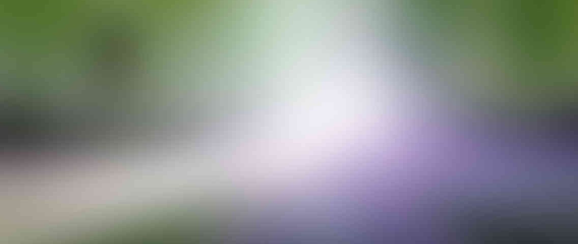 http://www.reclamossalar.com/wp-content/uploads/2013/03/standout_slide_1_v01-1136x480.jpg