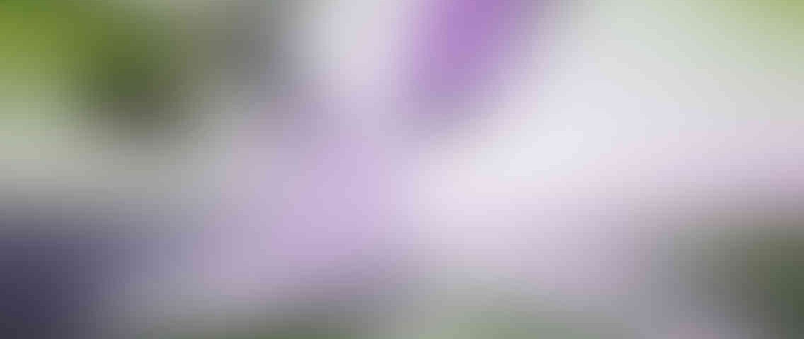 http://www.reclamossalar.com/wp-content/uploads/2013/03/standout_slide_2_v01-1136x480.jpg