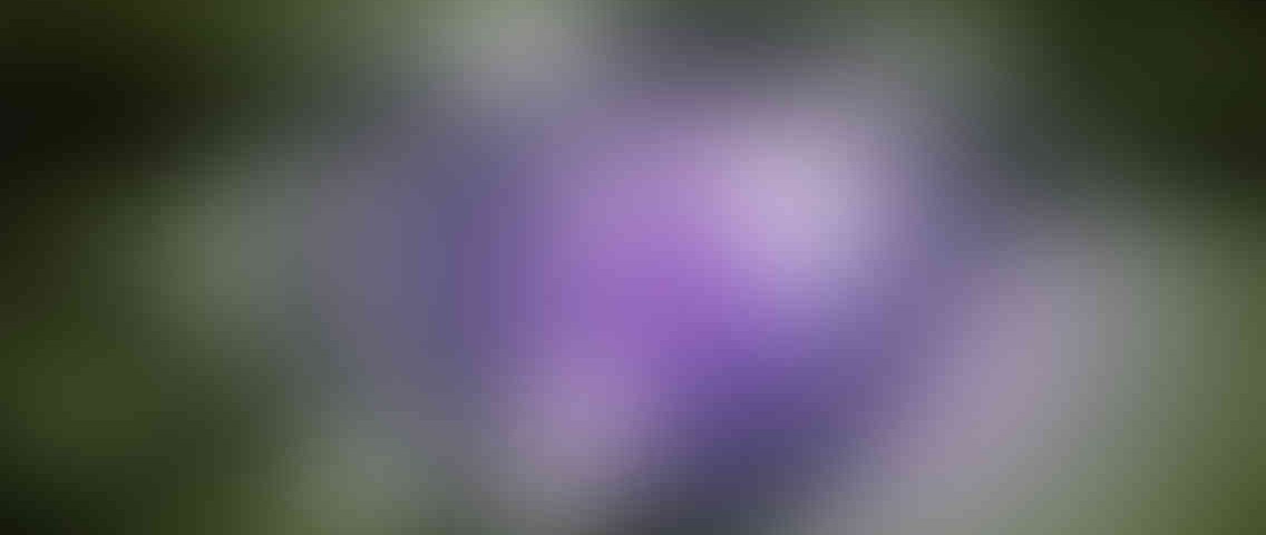 http://www.reclamossalar.com/wp-content/uploads/2013/03/standout_slide_3_v01-1136x480.jpg