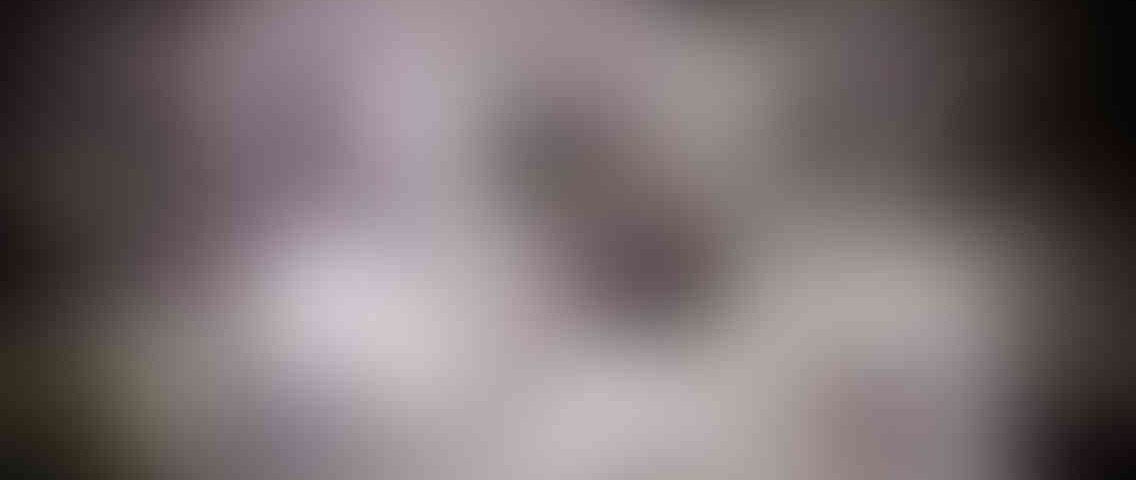http://www.reclamossalar.com/wp-content/uploads/2013/03/standout_slide_4_v01-1136x480.jpg