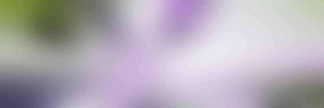 http://www.reclamossalar.com/wp-content/uploads/2013/04/viewport_slide_1_v01-1136x380.jpg
