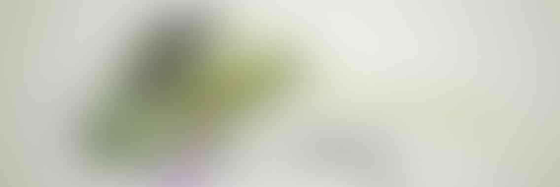 http://www.reclamossalar.com/wp-content/uploads/2013/04/viewport_slide_3_v01-1136x380.jpg