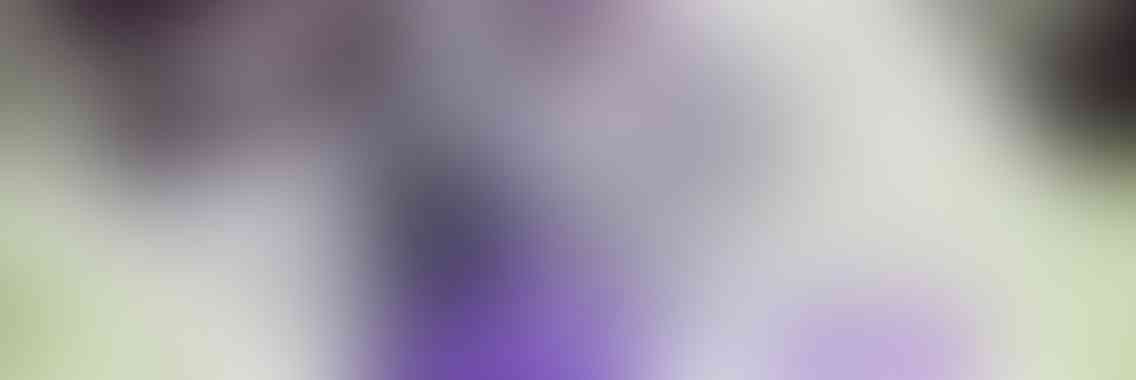 http://www.reclamossalar.com/wp-content/uploads/2013/04/viewport_slide_4_v01-1136x380.jpg